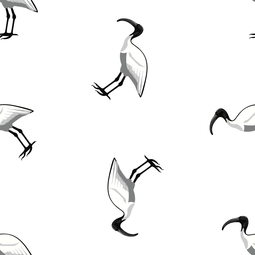 Bin Chic Blue | Women's Bold Fun Luxury Aussie Golf Polo